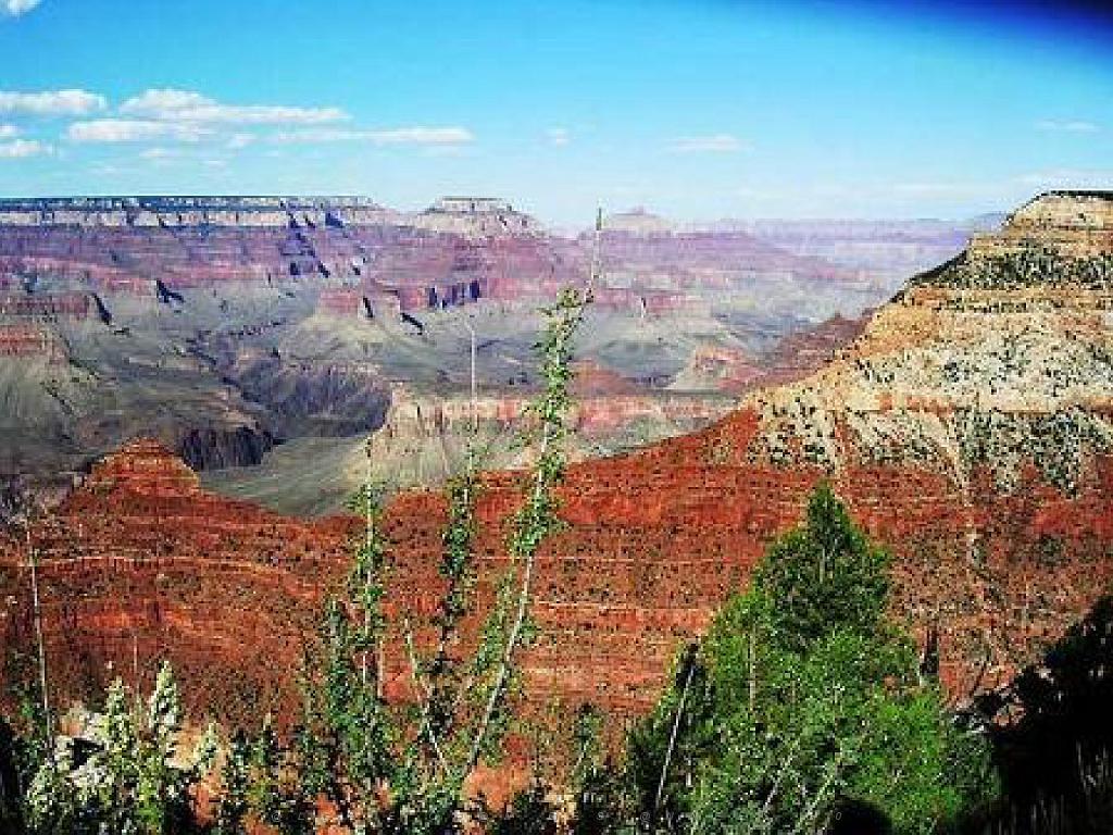 107  USA LE GRAND CANYON 2005_000028.jpg